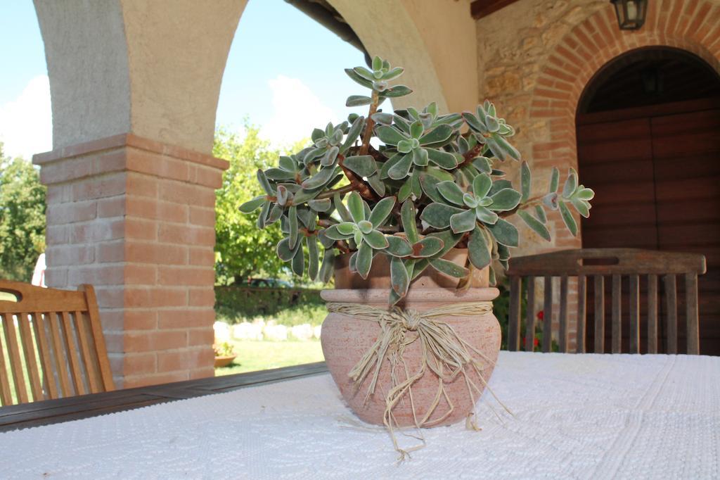 Agriturismo Poggio Della Rosa Амелиа Экстерьер фото